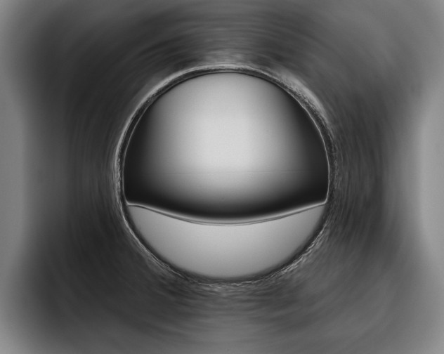 X0000093481380200710120947