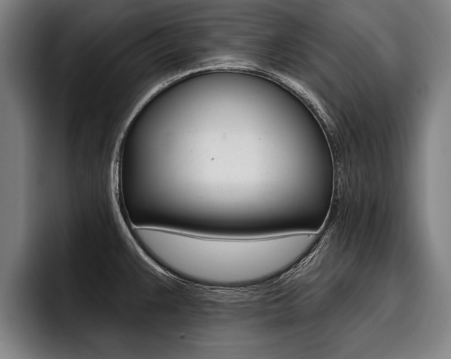 X0000093481383200710120947