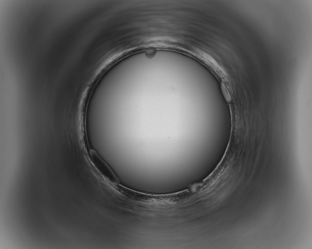 X0000093481384200710120947
