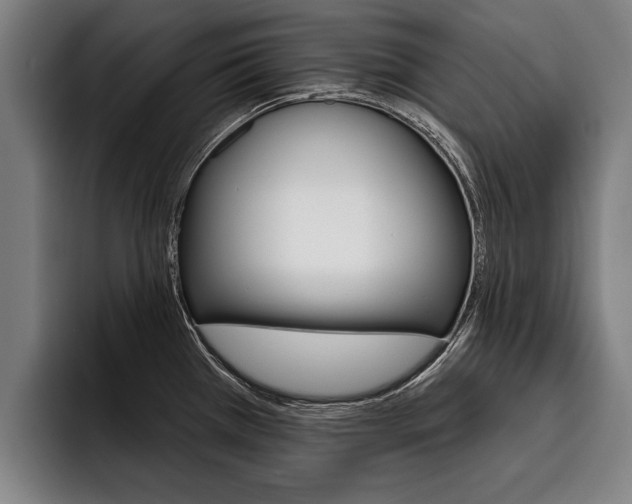 X0000093481385200710120947