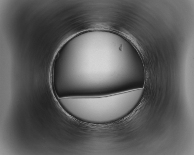 X0000093481387200710120946