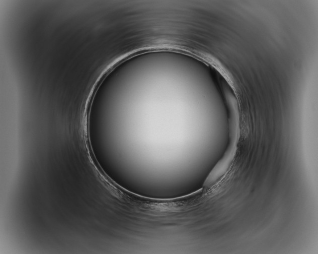 X0000093481388200710120946