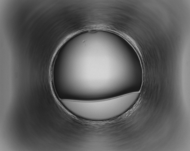 X0000093481389200710120946