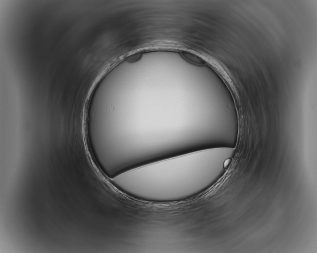 X0000093481390200710120946