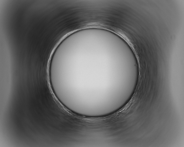 X0000093481392200710120946