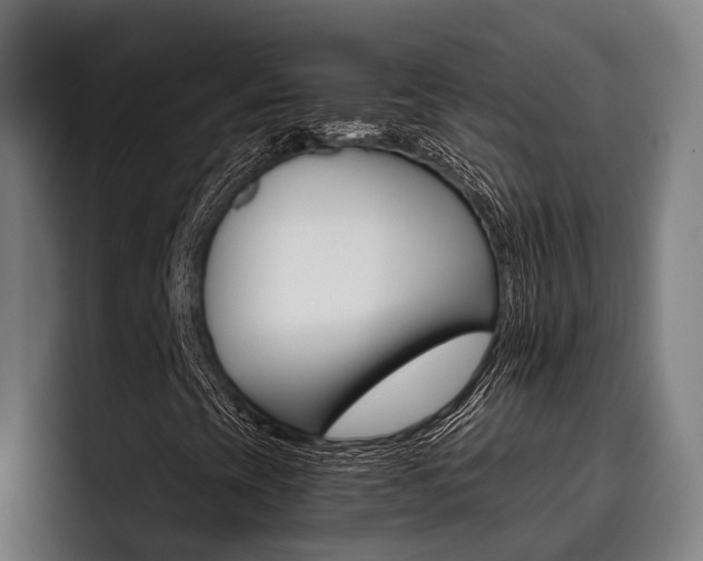 X0000093481393200710120946