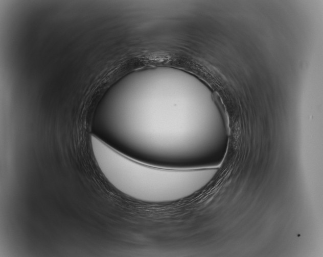 X0000093481394200710120946
