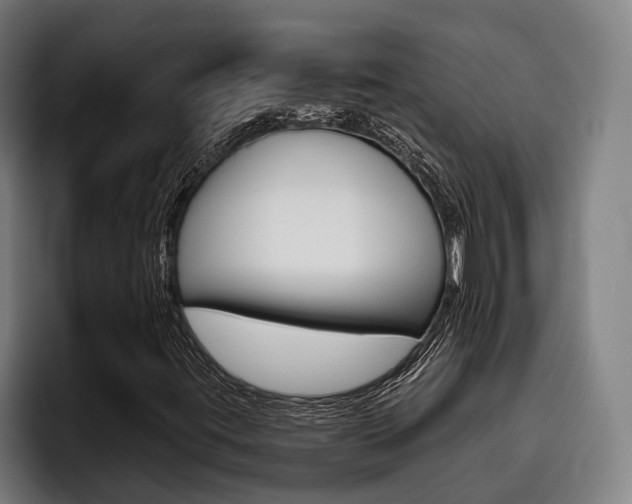 X0000093481395200710120946
