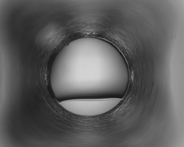 X0000093481396200710120946