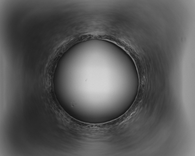 X0000093481398200710120946