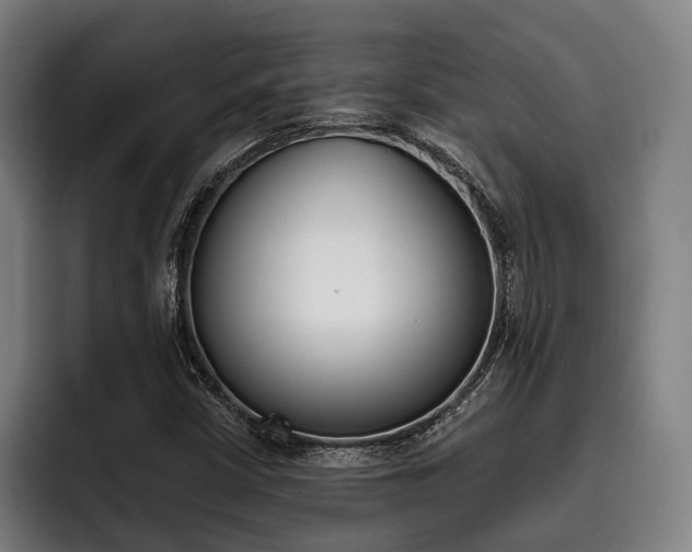 X0000093481402200710120946