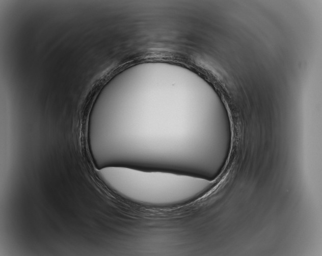 X0000093481403200710120946