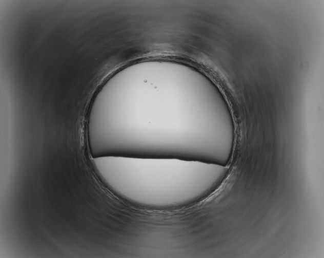 X0000093481409200710120946