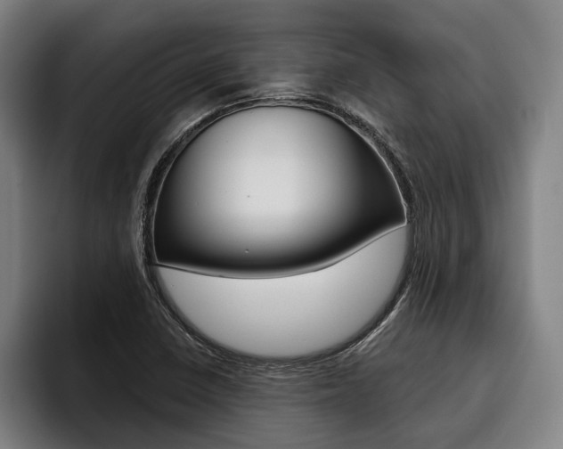 X0000093481410200710120946