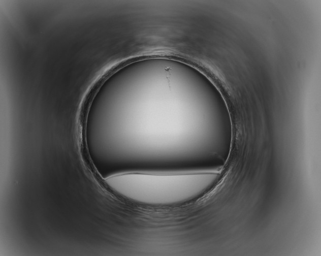 X0000093481414200710120946