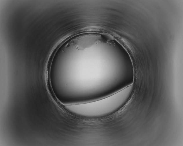 X0000093481418200710120946