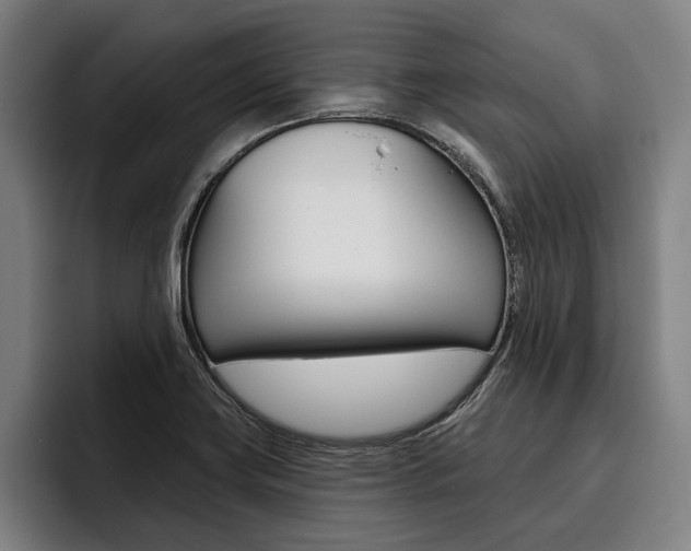 X0000093481419200710120946