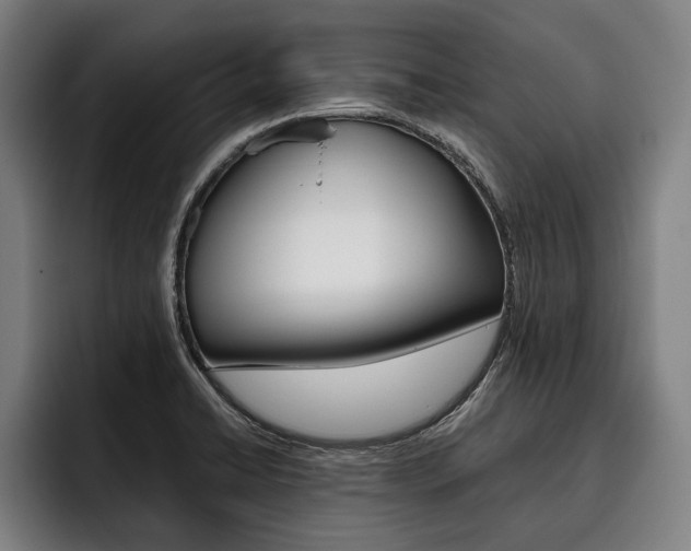 X0000093481422200710120946