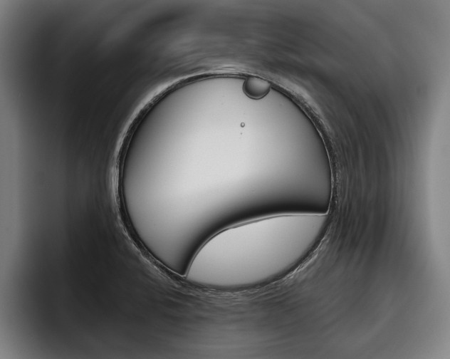 X0000093481424200710120946