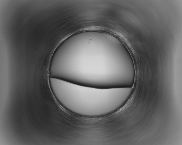 X0000093481425200710120946