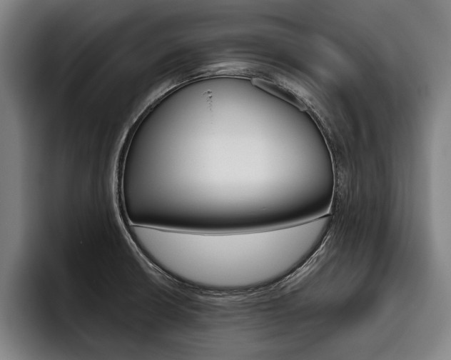 X0000093481426200710120946