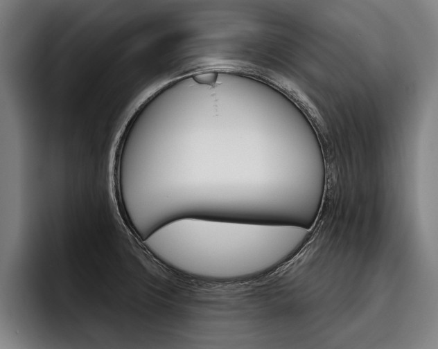 X0000093481427200710120946