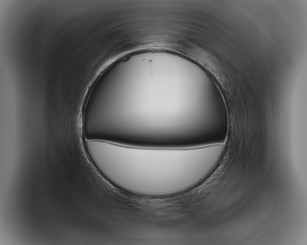 X0000093481428200710120946