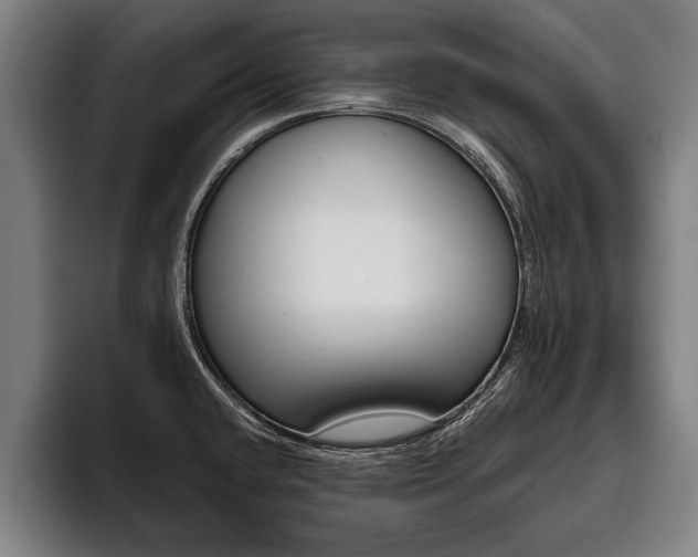 X0000093481432200710120946