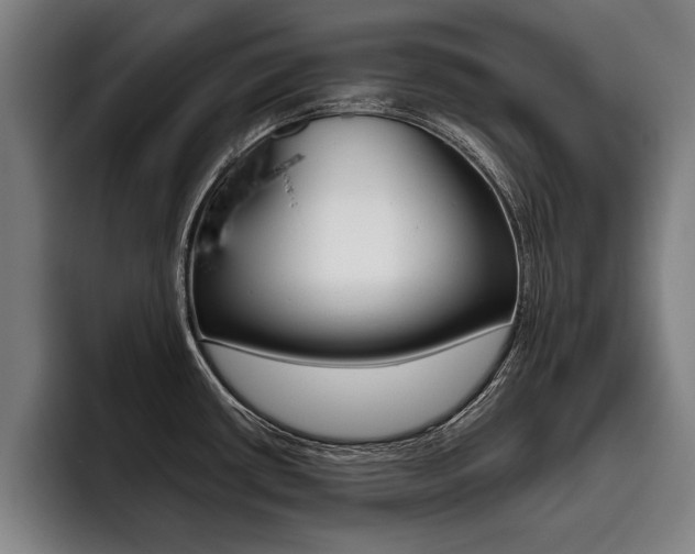X0000093481434200710120946