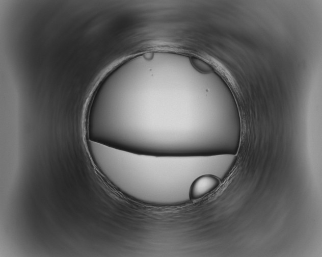 X0000093481435200710120946