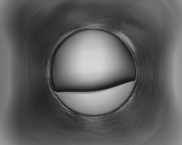 X0000093481436200710120946