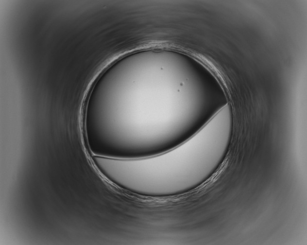 X0000093481438200710120946