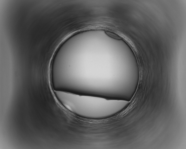 X0000093481439200710120946