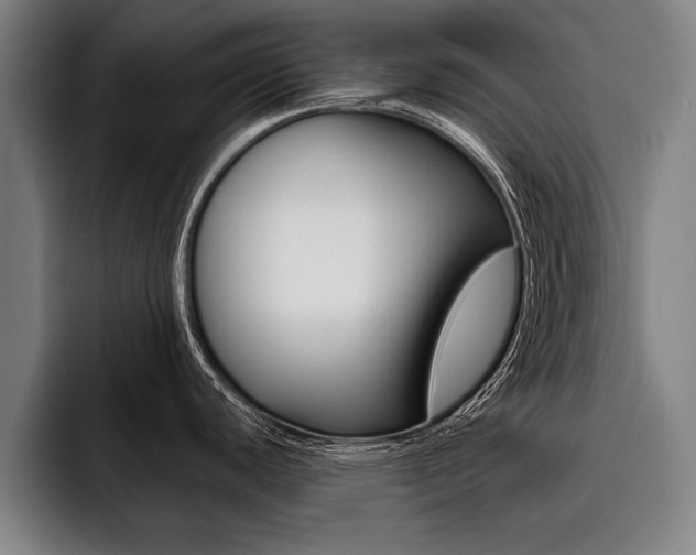 X0000093481440200710120946