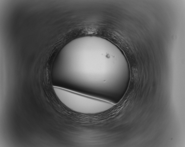 X0000093481442200710120946