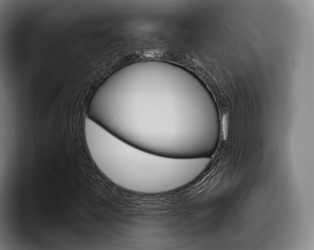X0000093481443200710120946