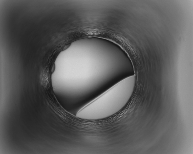 X0000093481444200710120946