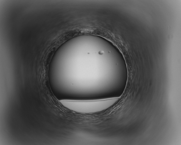 X0000093481445200710120946