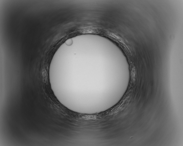 X0000093481446200710120946