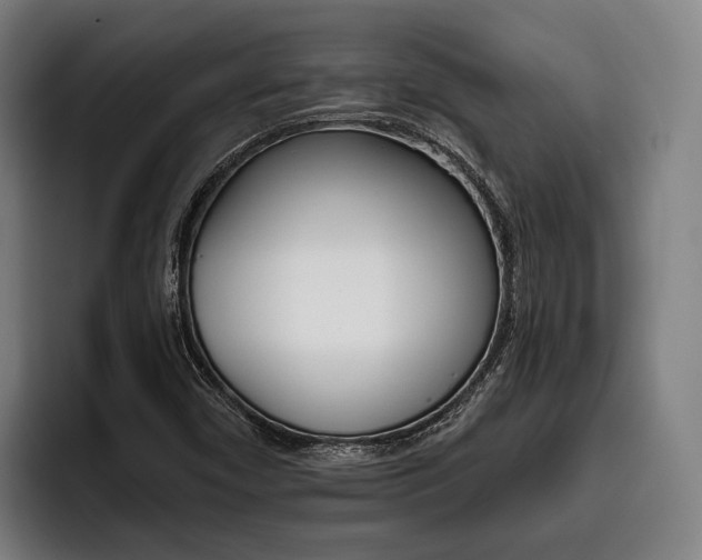 X0000093481450200710120946