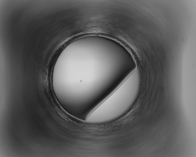 X0000093481452200710120946