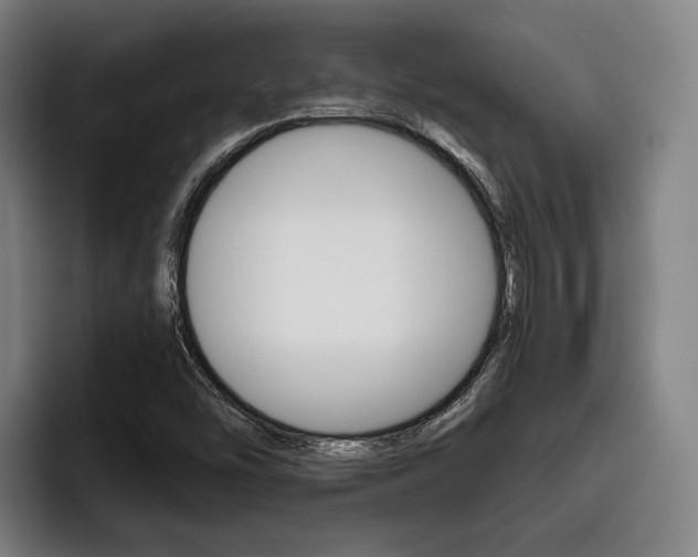 X0000093481454200710120946