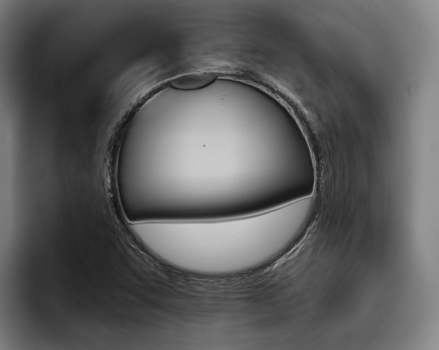 X0000093481455200710120946