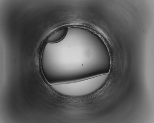 X0000093481456200710120946