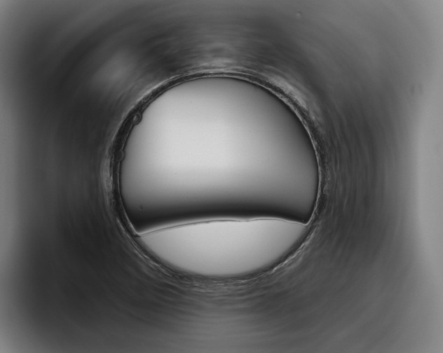 X0000093481458200710120946