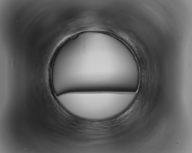 X0000093481463200710120946