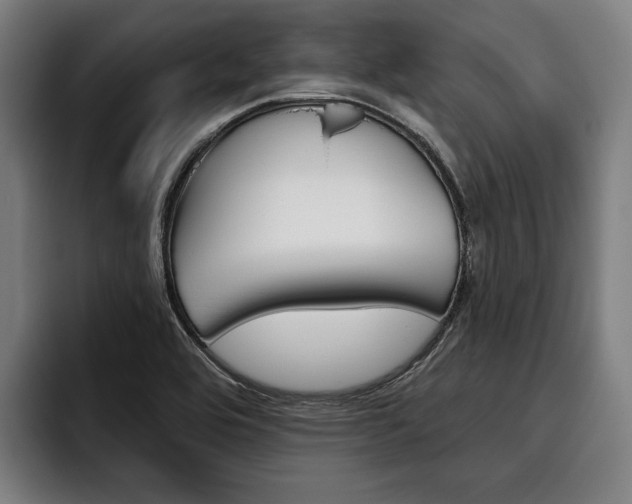 X0000093481464200710120946