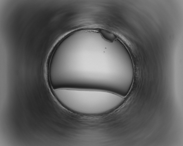 X0000093481468200710120946