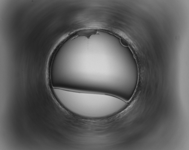 X0000093481469200710120946