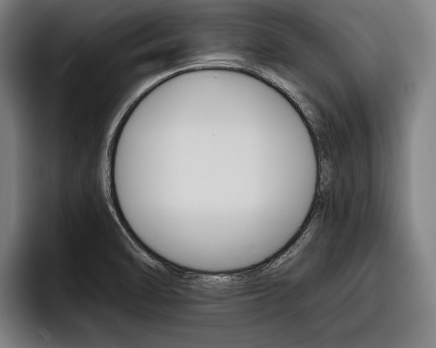 X0000093481470200710120946